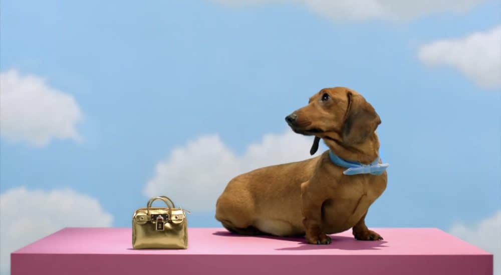 Screenshot 2020-12-13 at 15.24.11