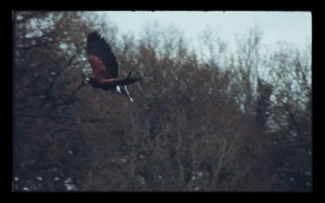 Screenshot 2023-02-28 at 13.46.04