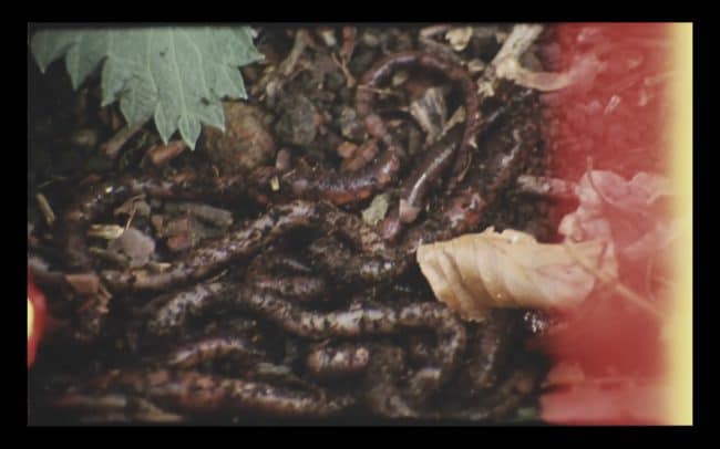 Screenshot 2023-02-28 at 14.02.15