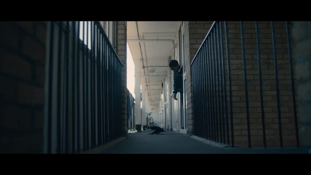 Wings2022_FilmStills__1.1.17