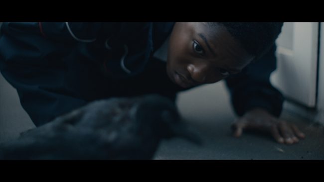 Wings2022_FilmStills__1.1.18