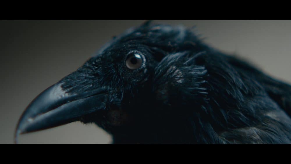 Wings2022_FilmStills__1.1.34