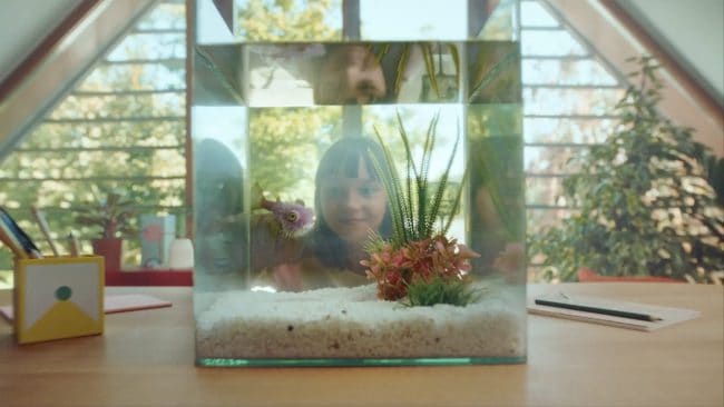 Screenshot 2021-04-05 at 19.03.01