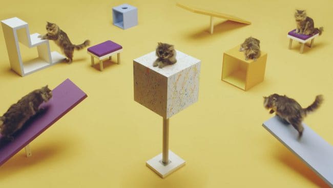 Screenshot 2021-04-05 at 19.04.04