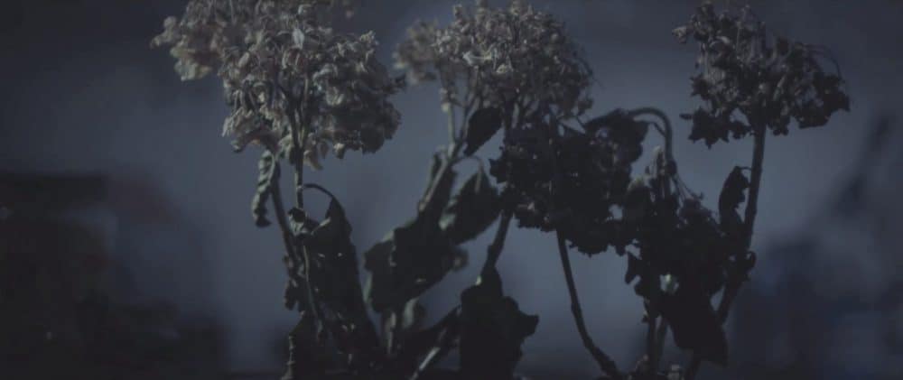 Screenshot 2021-04-05 at 19.23.34