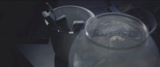 Screenshot 2021-04-05 at 19.23.47