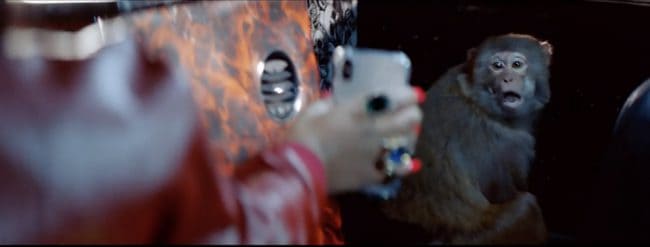 Screenshot 2021-04-05 at 19.49.24