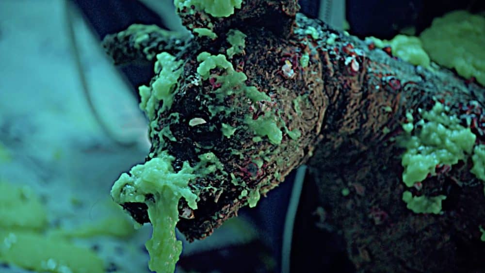 Screenshot 2021-04-19 at 22.54.53